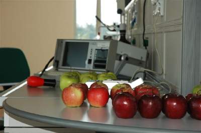 Processi di post-raccolta per la qualità delle mele in Piemonte